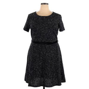 NWT Ann Taylor LOFT Plus Black & White Fit and Flare Dress